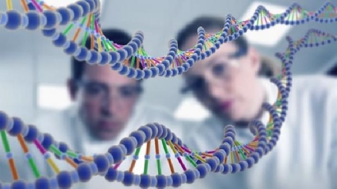 Biología: ADN Código Genético