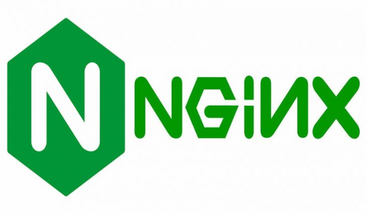 Uso de NGINX