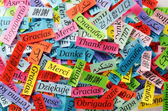 ¿Qué lenguas son las únicas que no cambian?